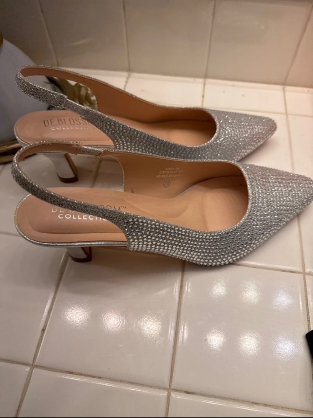 De Blossom Collection Silver Crystal Slingback Pointed Heels
